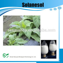 Низкая цена Solanesol 90% Solanesol Экстракт Solanesol порошок